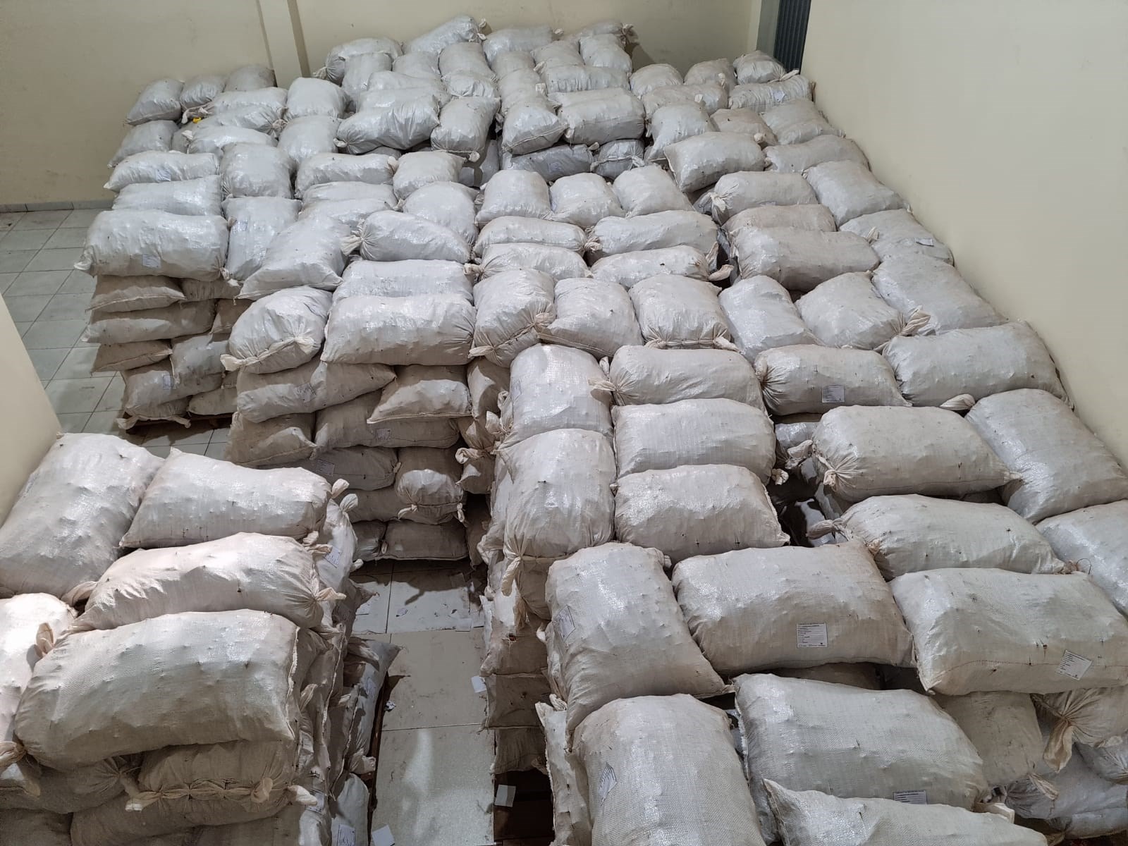 Casca de Unha de Gato (Uncaria Tomentosa)